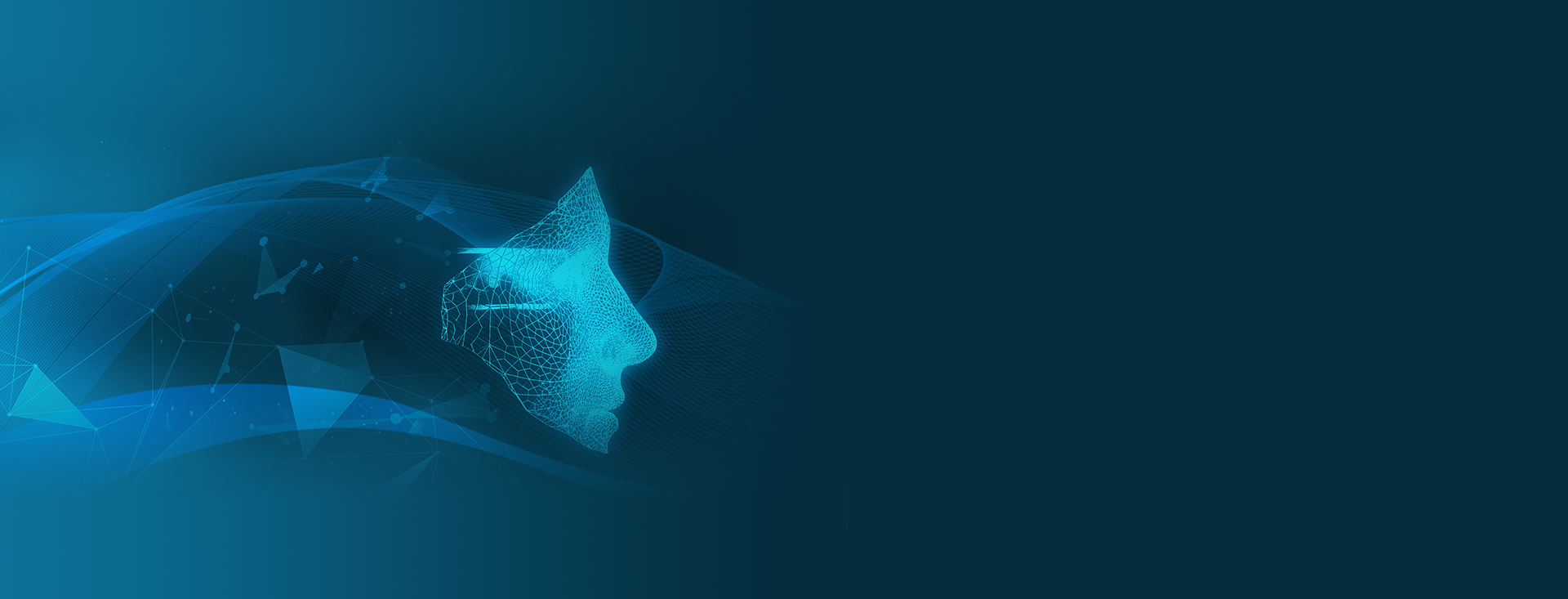 Comprehensive Smart Machine Vision Application Development Interfaces